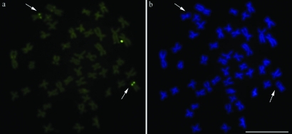 Figure 2-