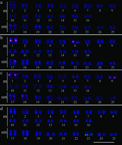 Figure 3-