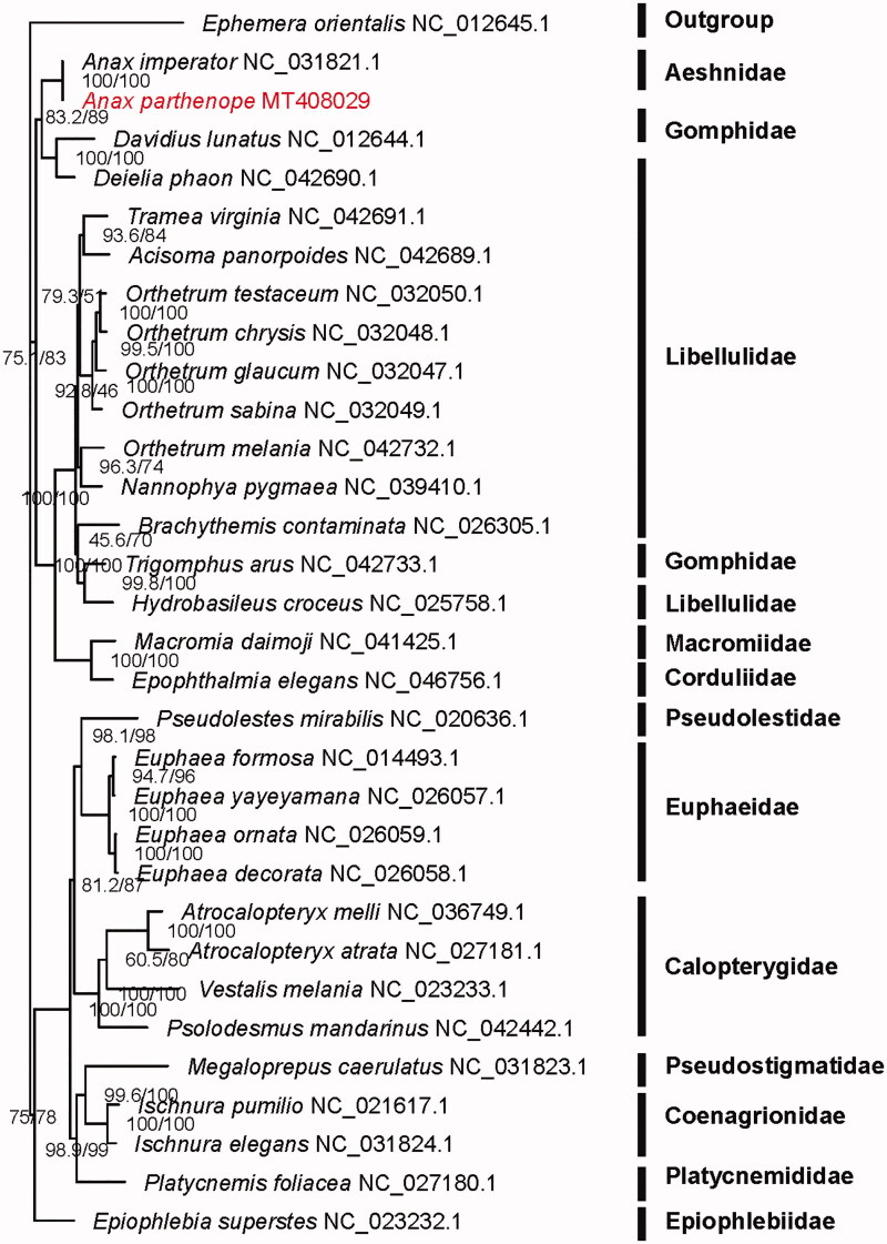 Figure 1.