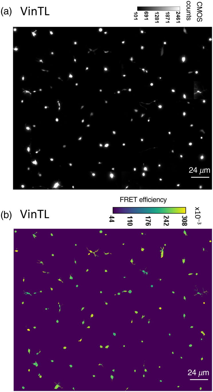 Fig. 9