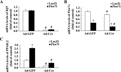 FIGURE 10.