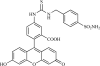 Fig. (6)