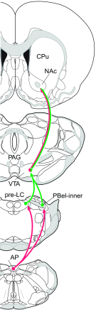 Fig. 8.
