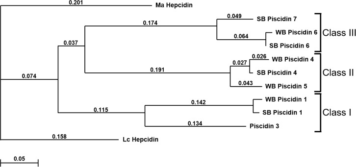 Fig 6