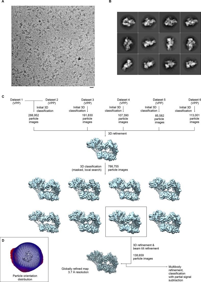 Figure 1—figure supplement 1.