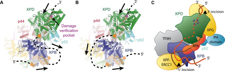 Figure 7.