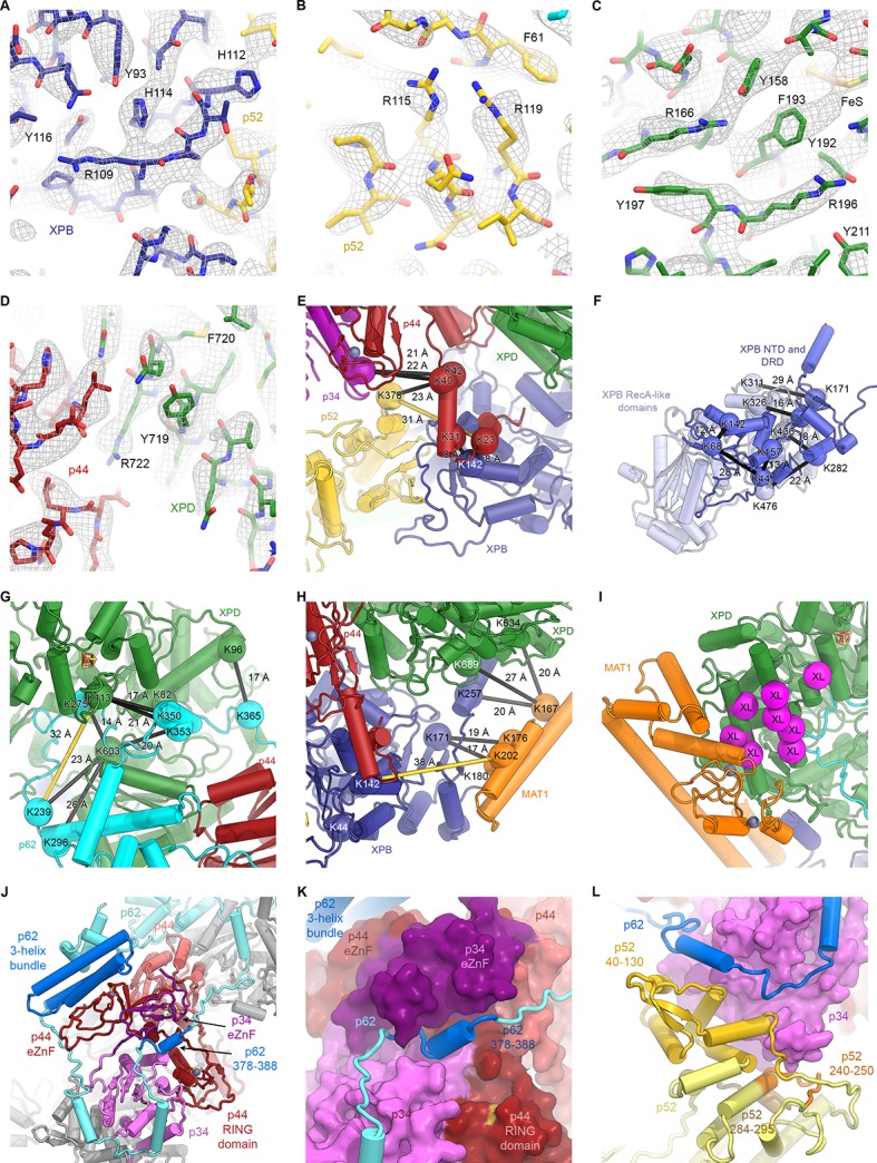 Figure 1—figure supplement 6.