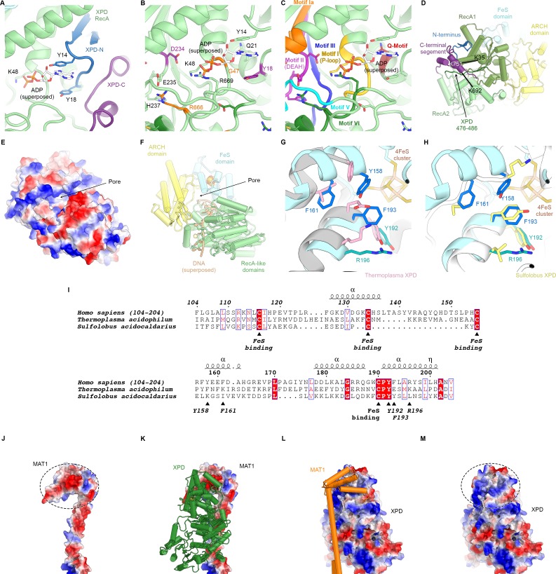 Figure 5—figure supplement 1.