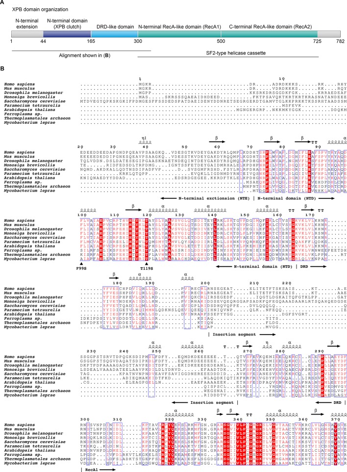 Figure 3—figure supplement 1.