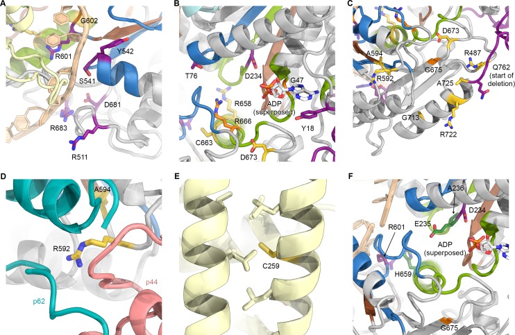 Figure 6—figure supplement 1.