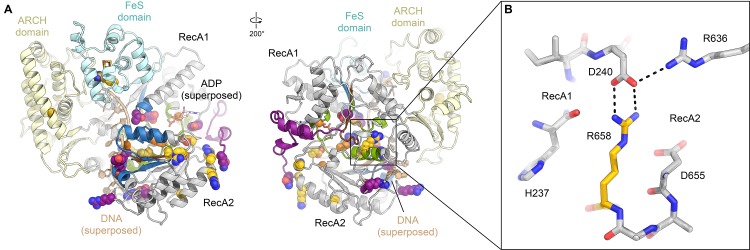 Figure 6.