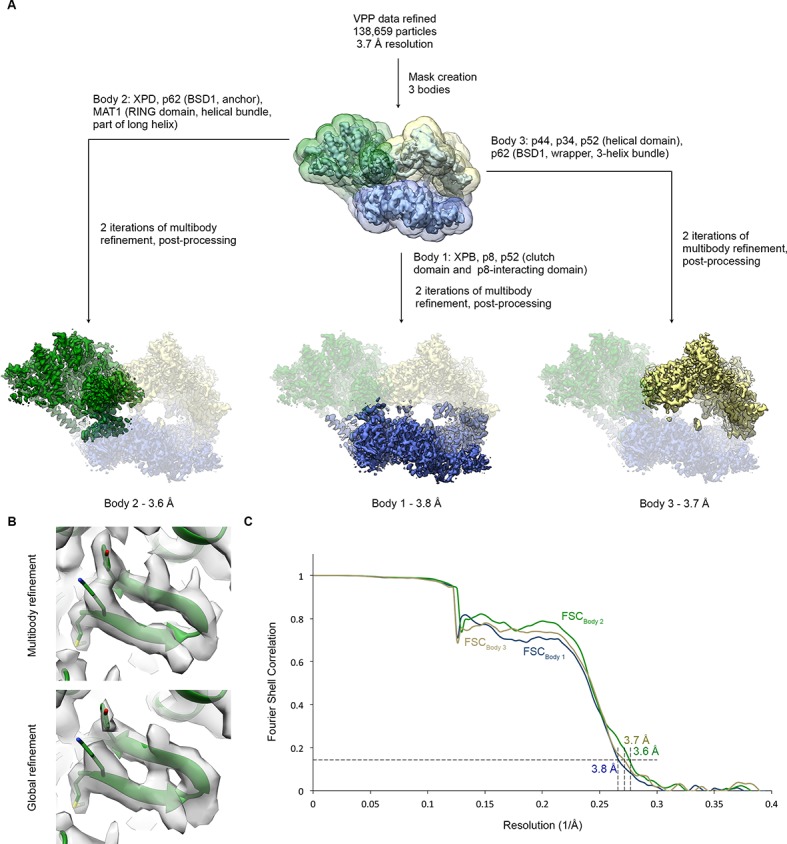 Figure 1—figure supplement 5.