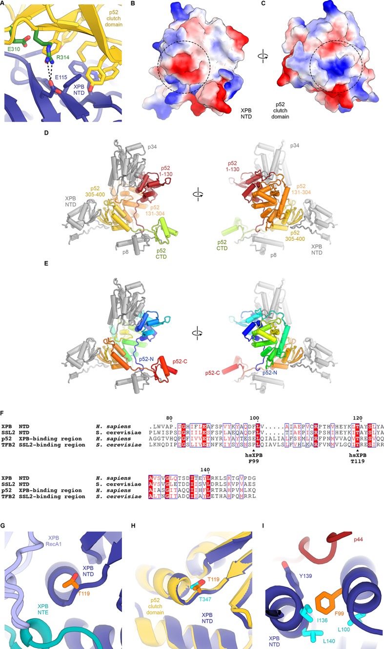 Figure 3—figure supplement 2.