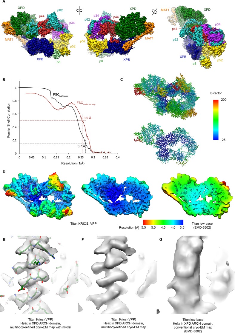 Figure 1—figure supplement 2.