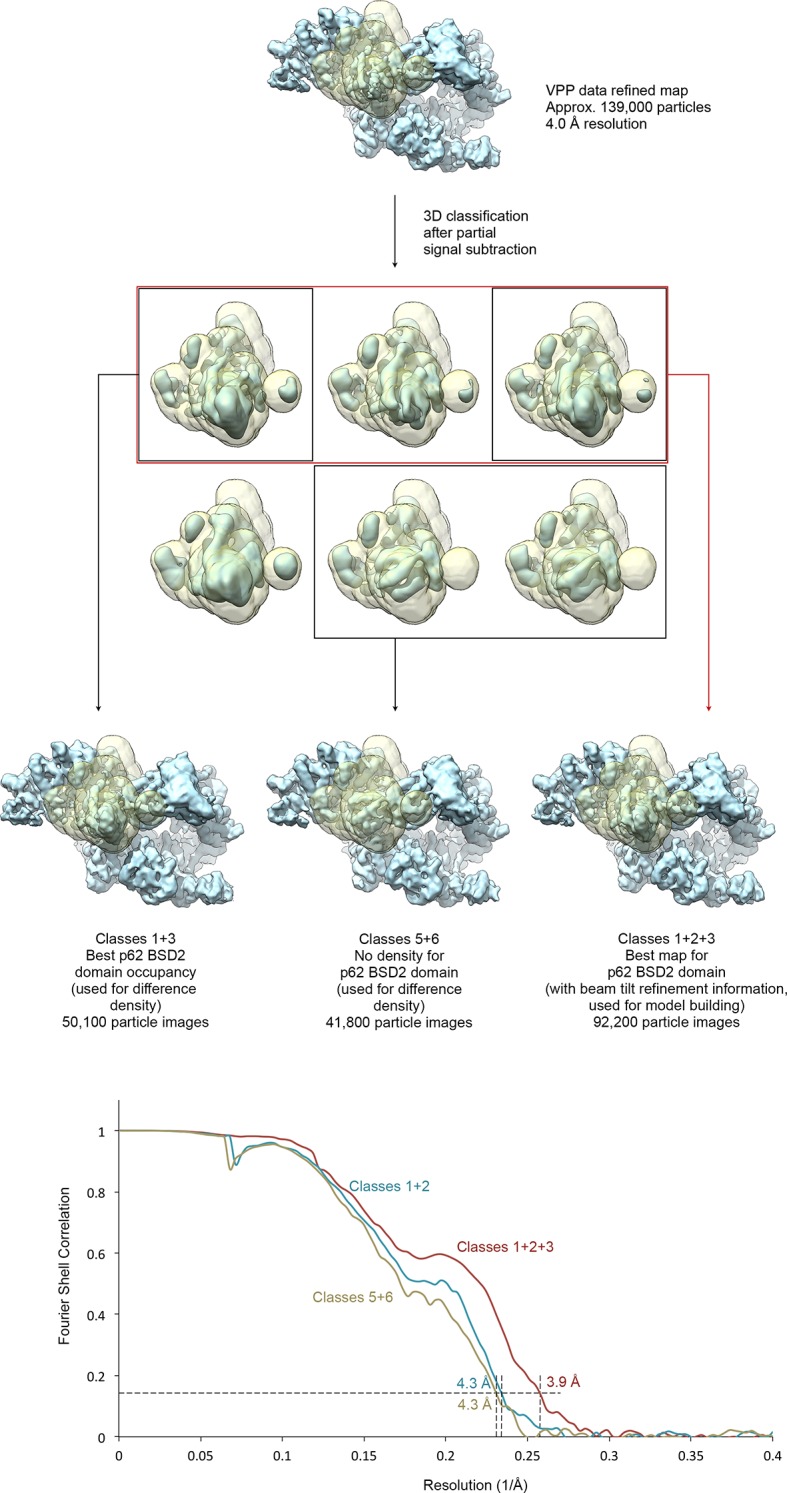 Figure 1—figure supplement 3.