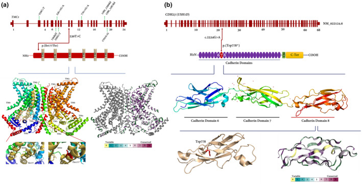 FIGURE 4