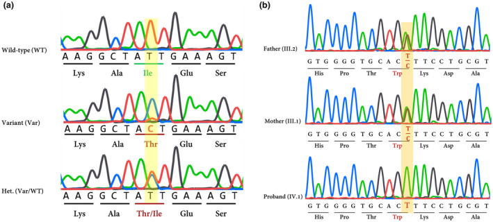 FIGURE 2