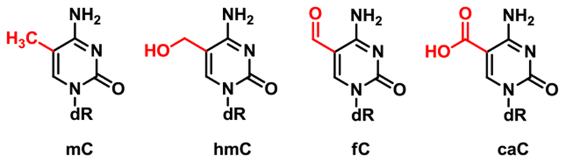 Scheme 2: