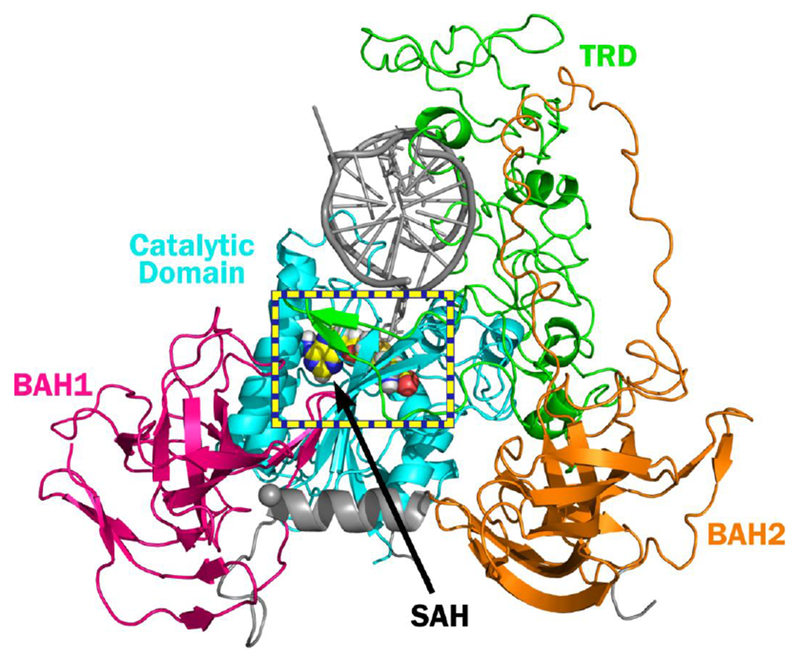 Figure 3: