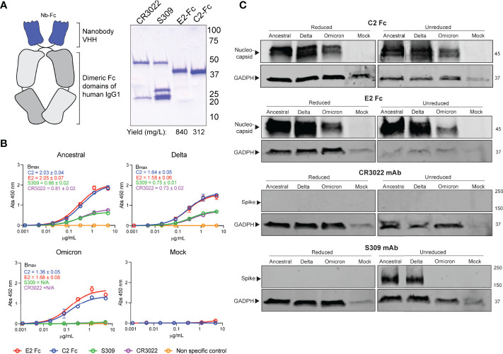 Figure 2