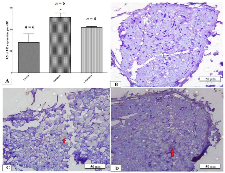 Figure 9