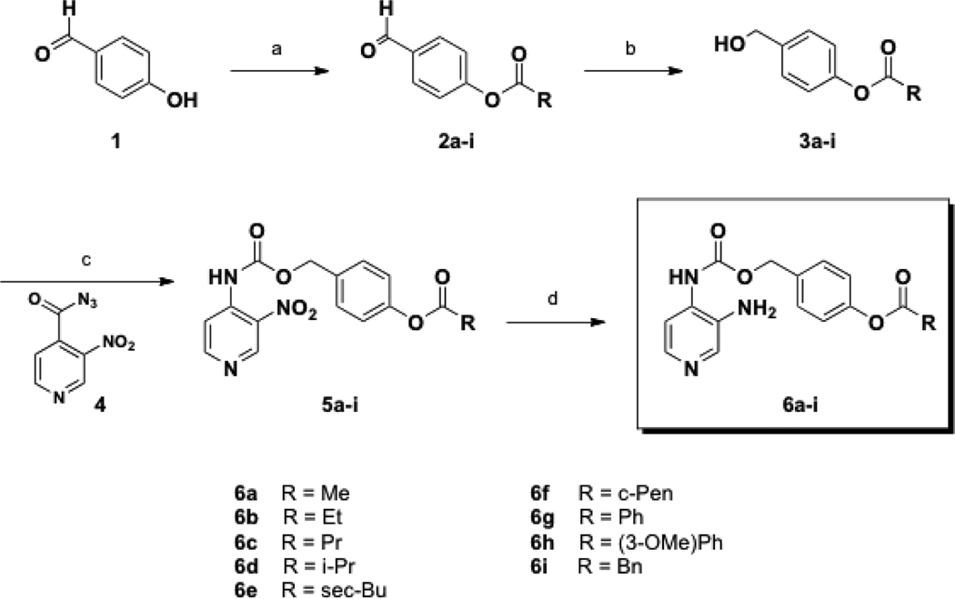 Scheme 1