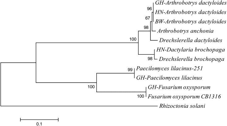 Fig. 5