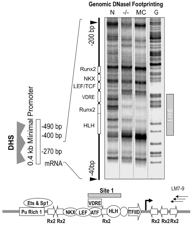 Fig 4