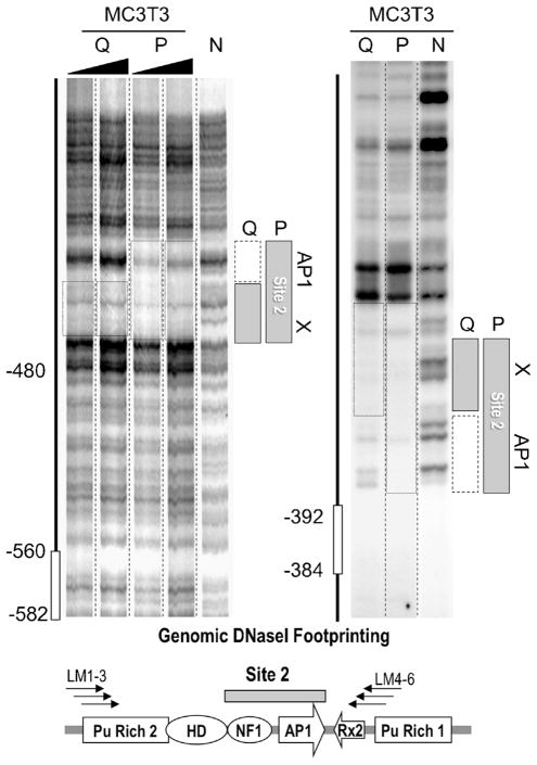 Fig 5