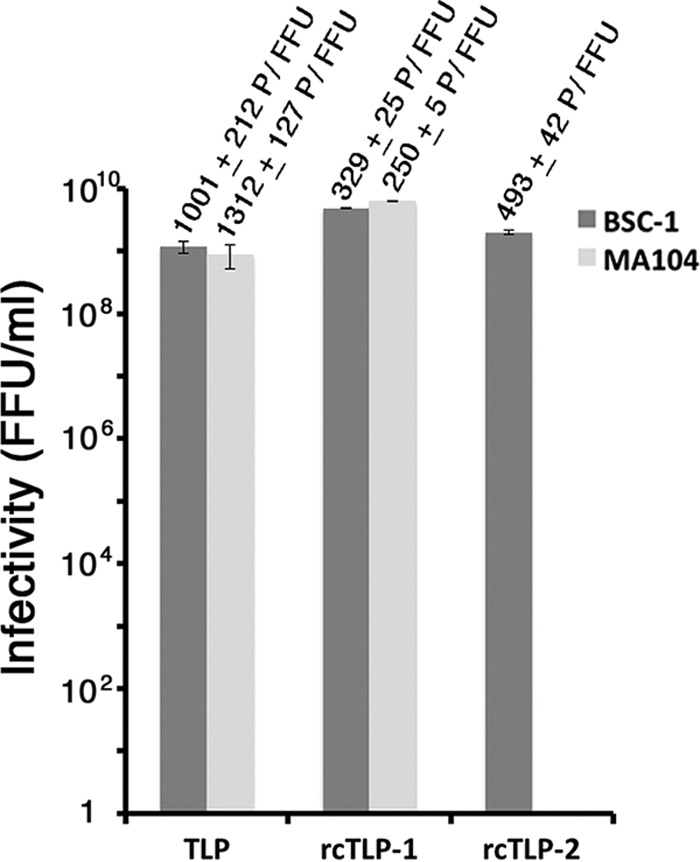 FIG 2