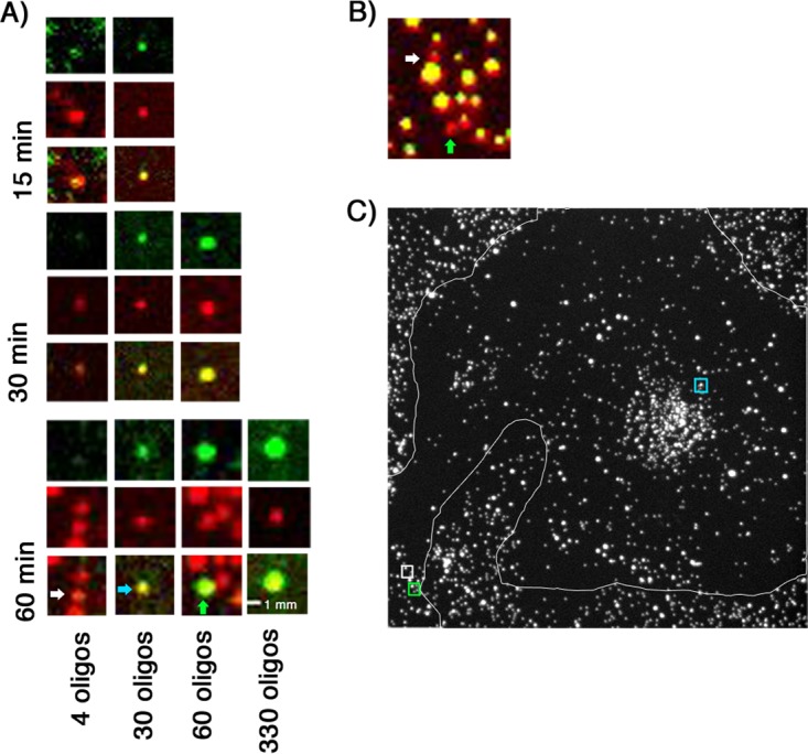 FIG 10