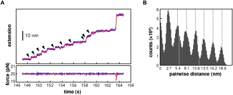 Figure 13.