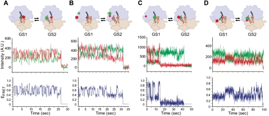 Figure 11.