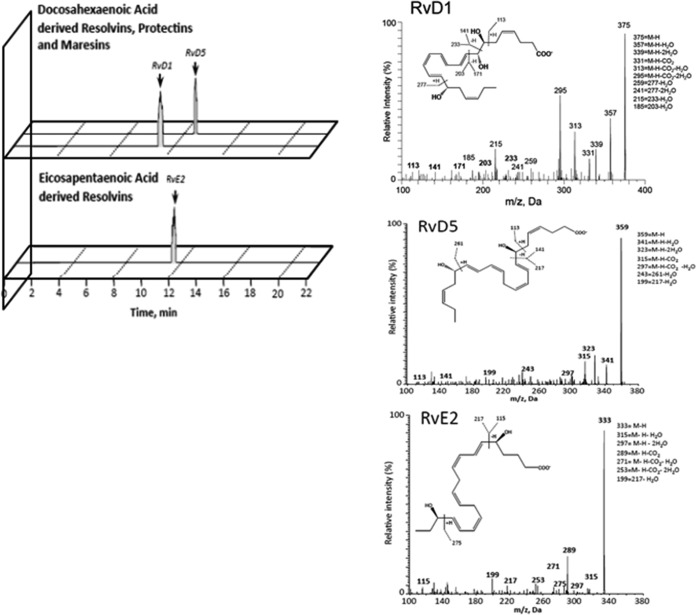 FIG 3