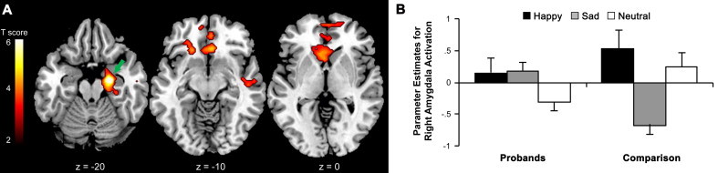 Fig. 5