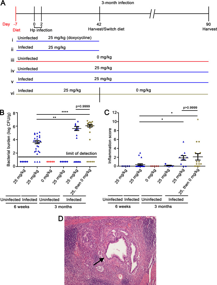 FIG 6