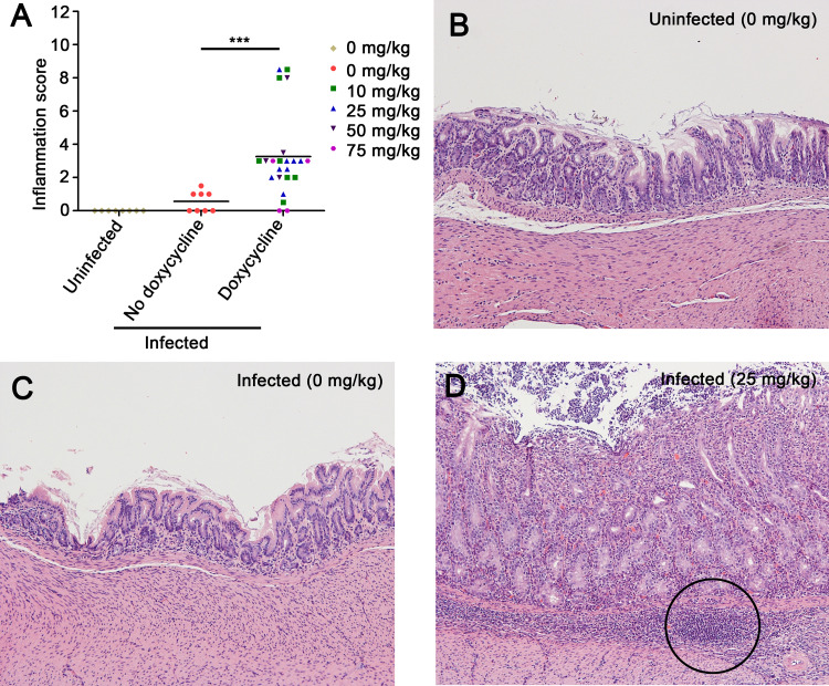 FIG 3