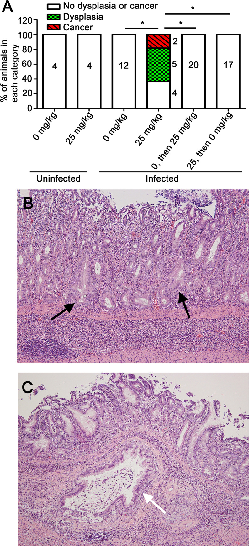 FIG 5