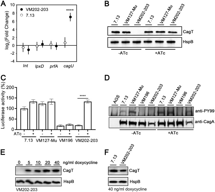 FIG 1