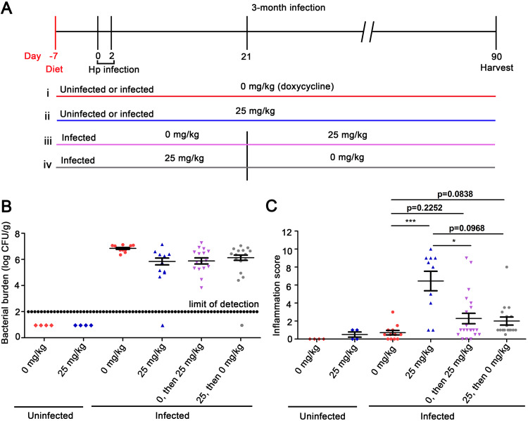 FIG 4