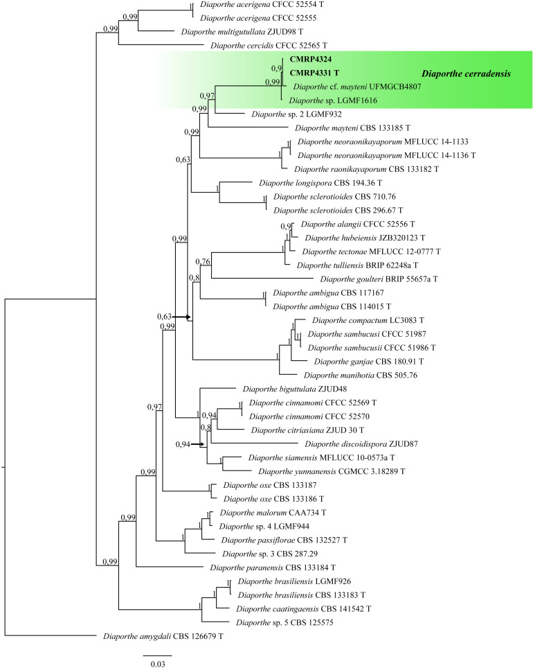 FIGURE 2