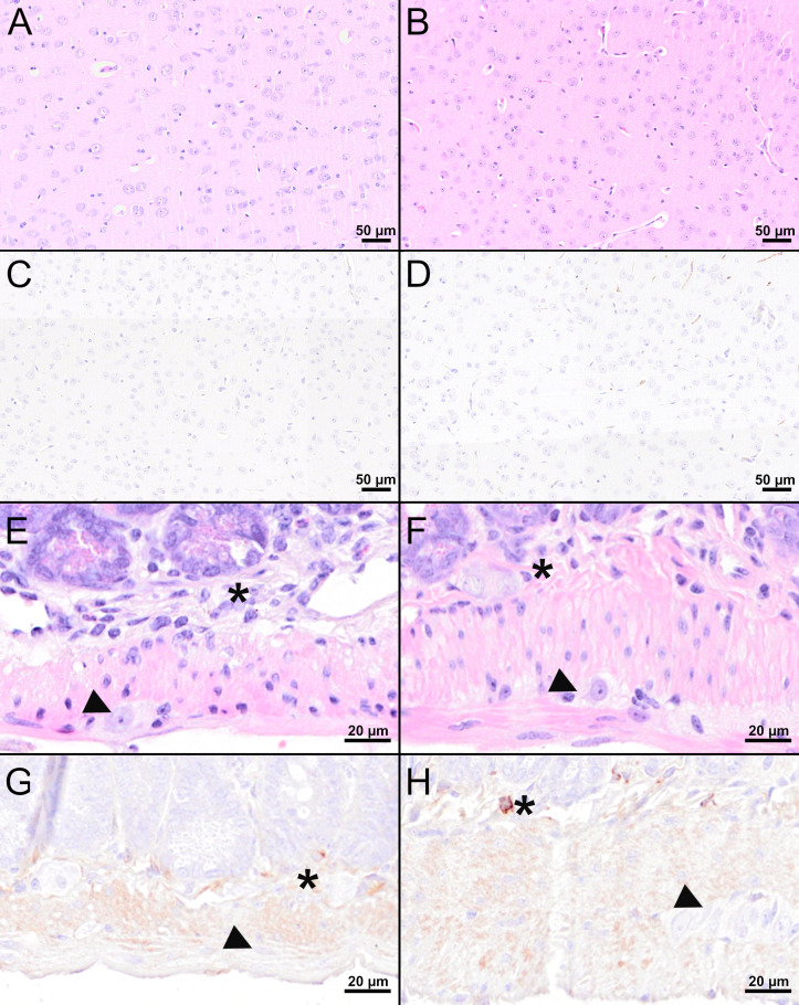 Figure 7