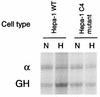 FIG. 6