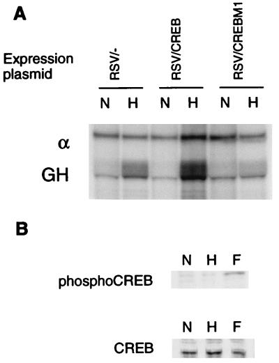 FIG. 5