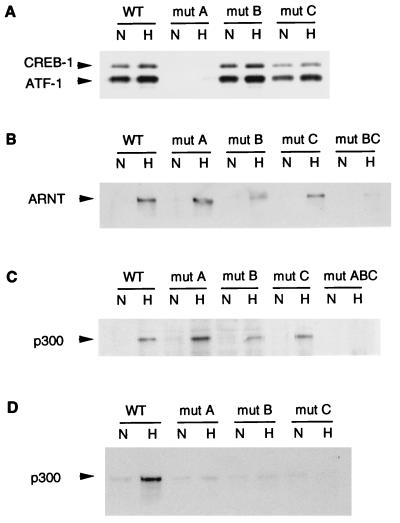 FIG. 8