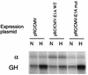 FIG. 7