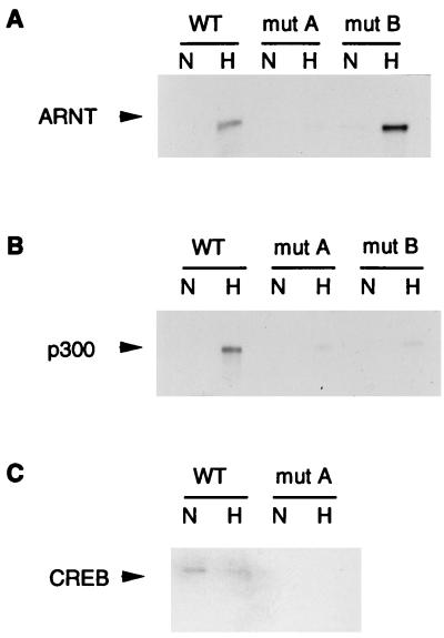 FIG. 9