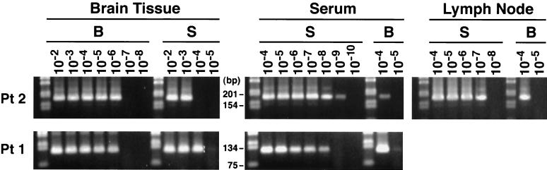 FIG. 8.