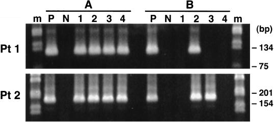 FIG. 7.