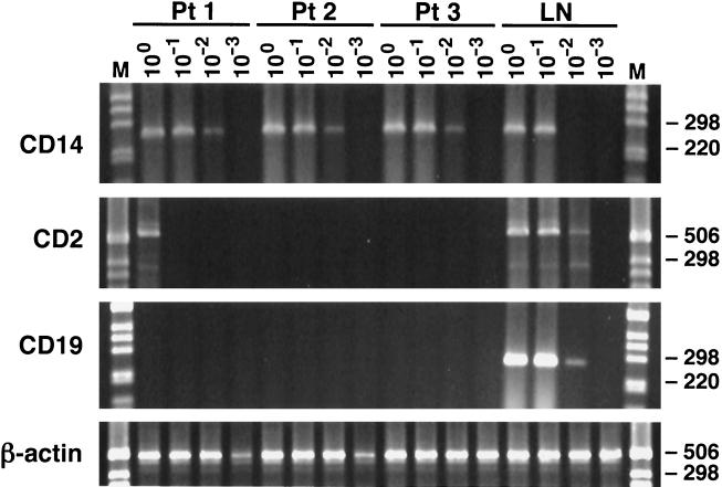 FIG. 9.